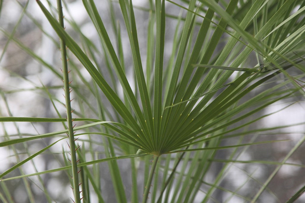 Przedwiosenne inspiracje