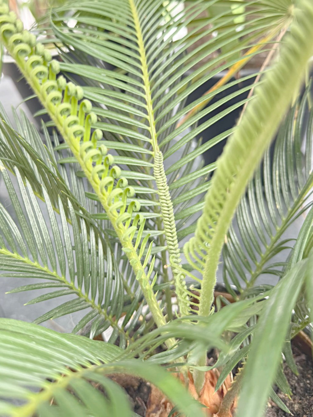 Kiedy minęło lato?